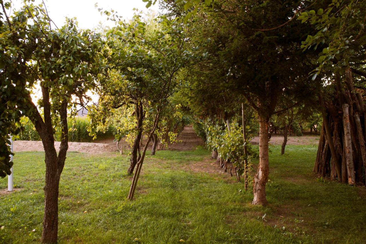 Вилла Domaine Des 4Roses -Spa Et Serenite Furdenheim Экстерьер фото