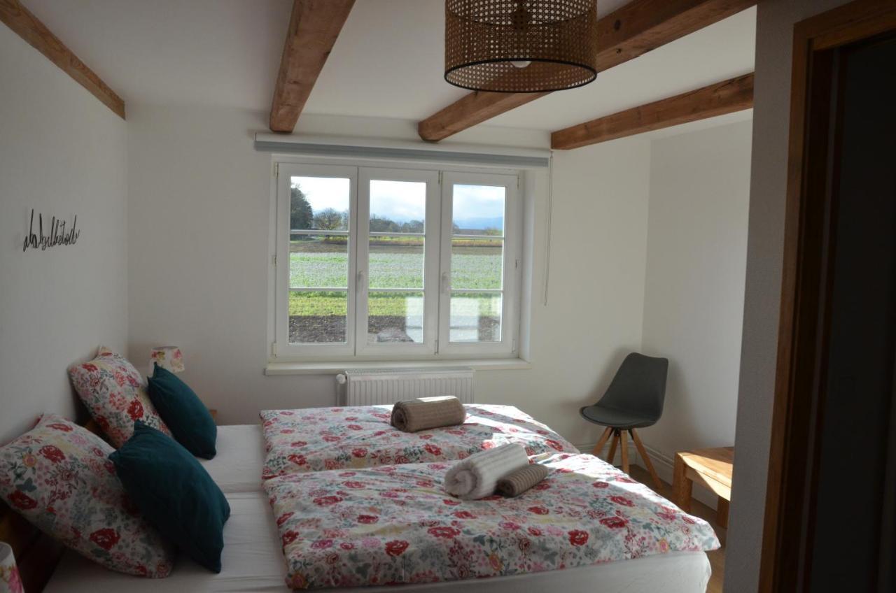 Вилла Domaine Des 4Roses -Spa Et Serenite Furdenheim Экстерьер фото