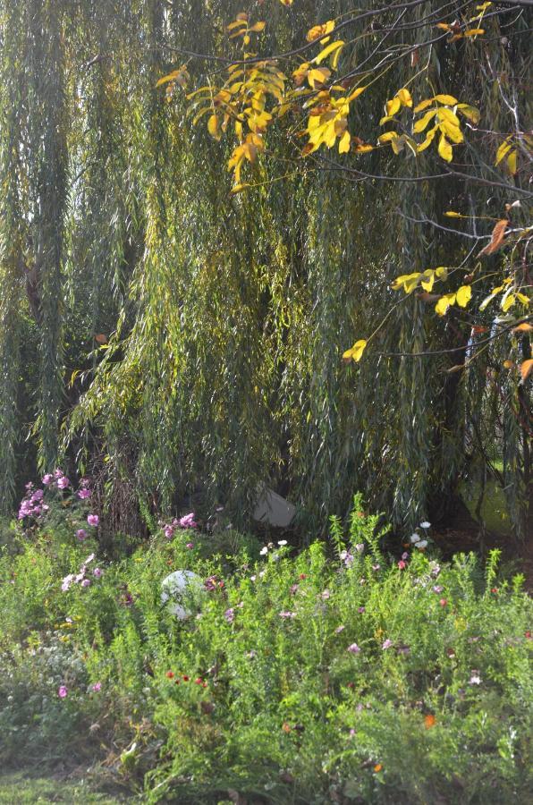 Вилла Domaine Des 4Roses -Spa Et Serenite Furdenheim Экстерьер фото